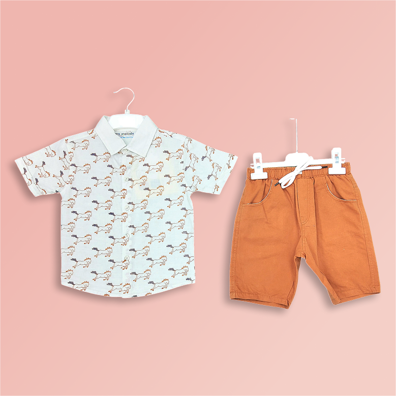 Classic Shirts &
                                                        Shorts Set