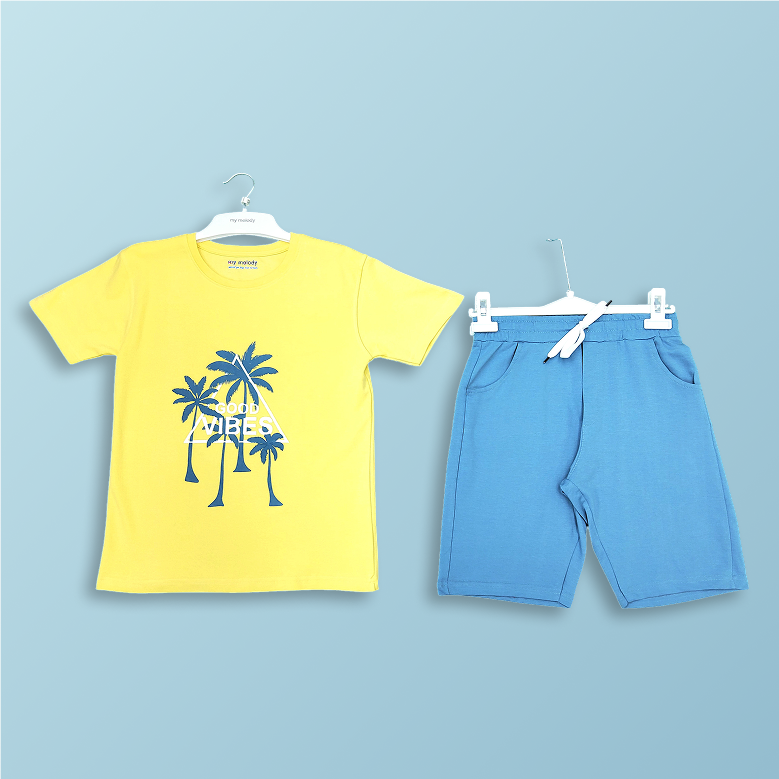 Comfort Tshirt &
                                                        LK Shorts Set