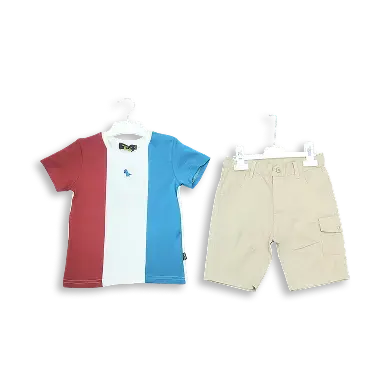 Casual Tshirt & Shorts